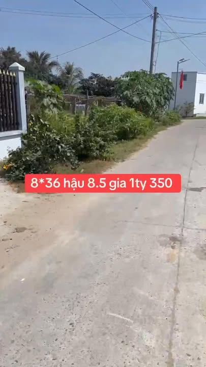 Đất thổ cư 296m² tại ấp Hậu Hòa, xã Quy Đức - Giá chỉ 1.33 tỷ!