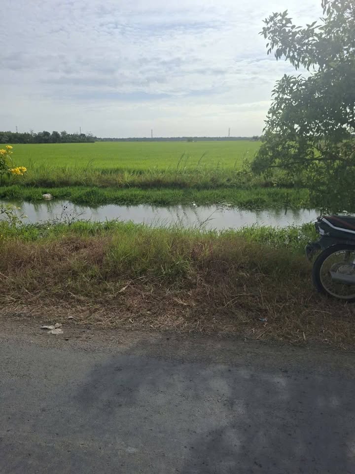 Đất nền 1300m² xã Tăng Hoà, Gò Công Đông giá 480 triệu - Tiềm năng sinh lời cao!