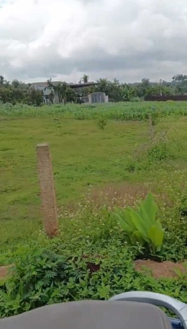 Đất nền xã Ea Drong, Buôn Hồ 260m² giá 729 triệu - Đầu tư sinh lời!