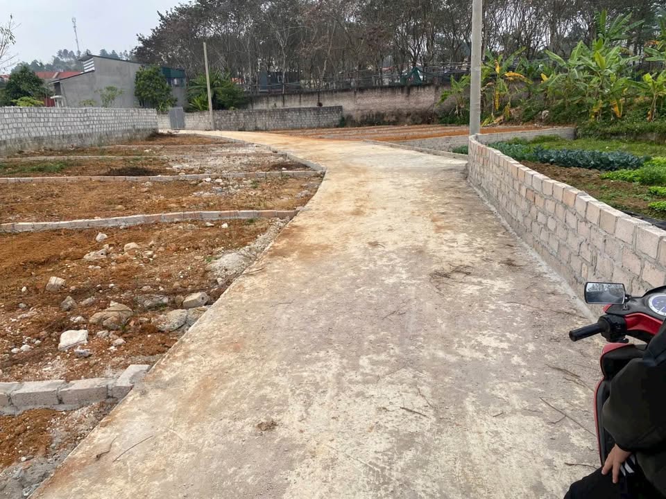 Đất nền xã Tân Mỹ, huyện Văn Lãng, 119m² giá 1.25 tỷ - Cơ hội đầu tư hiếm có!