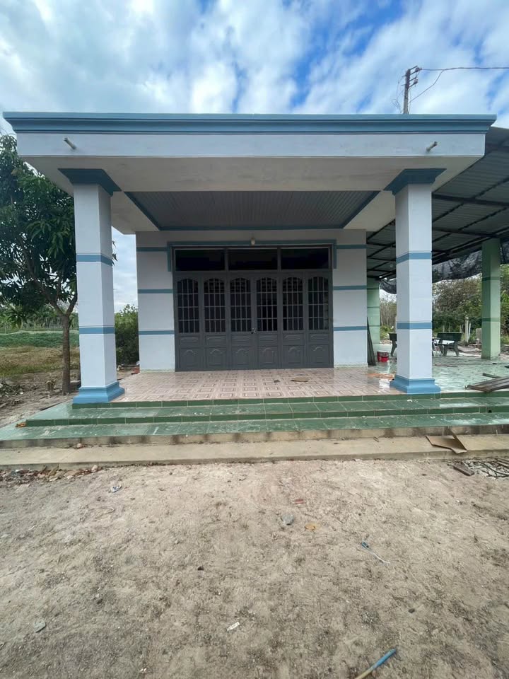 Đất thổ cư 909m² tại ấp Thanh An, Trà Vinh chỉ 550 triệu - Cần bán gấp!