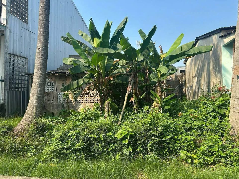 Đất nền 140m² đường Chi Lăng, Huế - Giá chỉ 2.1 tỷ, gần sông Hương!