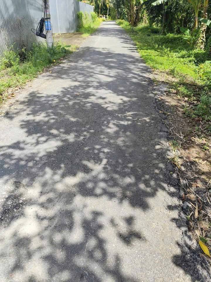 Đất vườn sầu riêng xã Tân Phú 3.556m² giá 3.5 tỷ - Đang cho trái, chăm sóc kỹ!