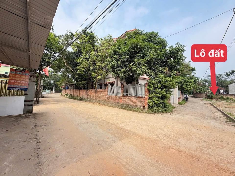 Đất thổ cư 117m² tại Tam Đảo - Giá chỉ 800 triệu - Cơ hội đầu tư tuyệt vời!