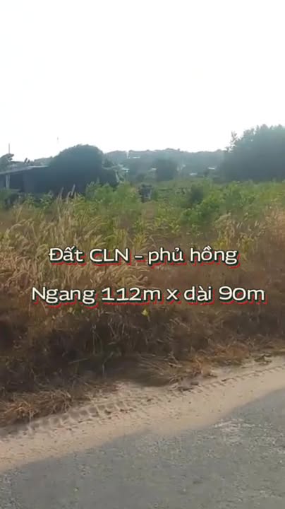 Đất Vườn 9817m² Mặt Tiền Nhựa Phạm Thế Hiển, La Gi - Giá Đầu Tư