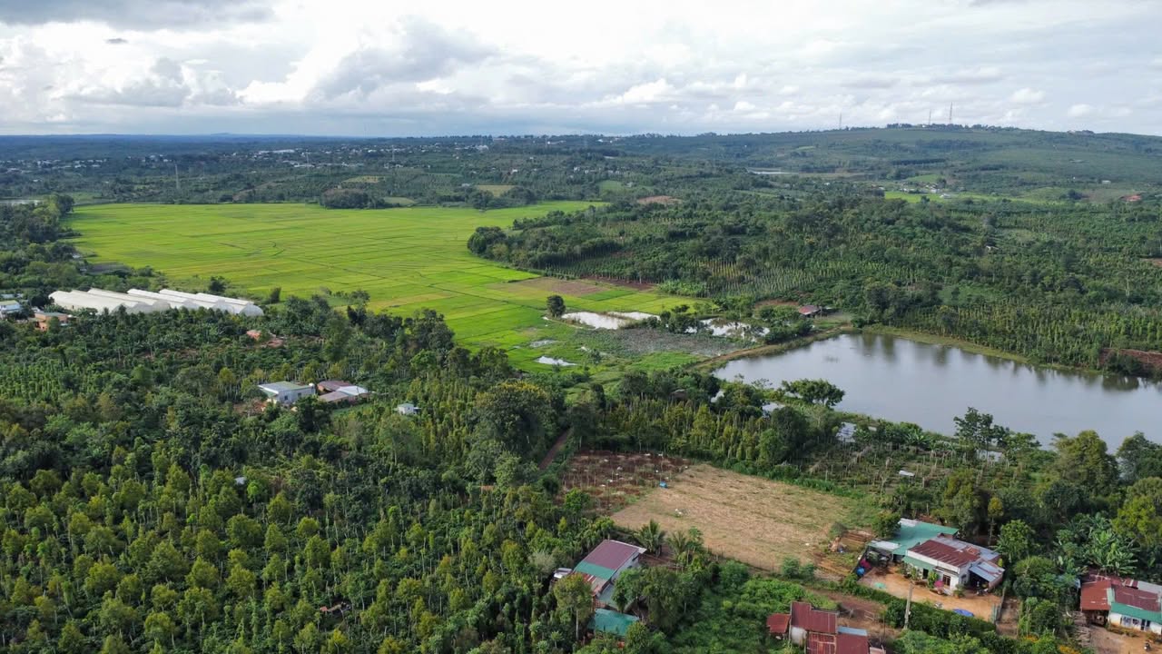 Đất nền Cư Bao, Buôn Hồ 1944m² giá 4.5 tỷ - Pháp lý rõ ràng, đầu tư sinh lời!