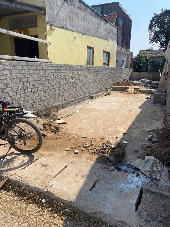 Đất nền mặt đường nhựa Câu Hạ A, Quang Trung, An Lão 61,5m² - Đầu tư sinh lời ngay!