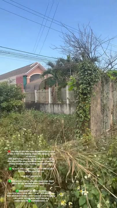 Lô đất nền Cát Quế 440m² giá 2.1 tỷ - Đường nhựa 3 mặt tiền