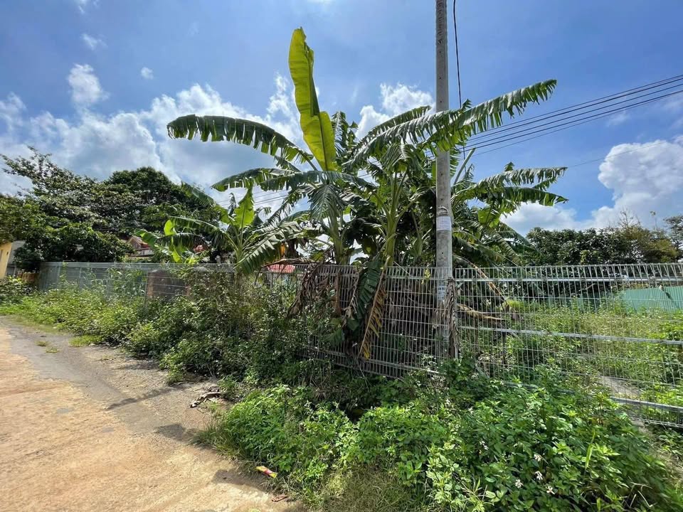 Đất thổ cư Lộc An 230m² giá 2.5 tỷ - Chính chủ bán gấp!