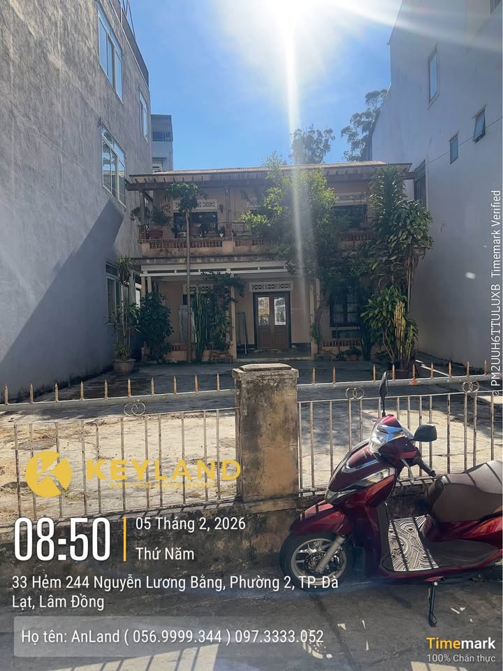 Nhà mặt tiền KQH Phan Đình Phùng, Đà Lạt 276m² giá 18.5 tỷ - Đầu tư sinh lời!