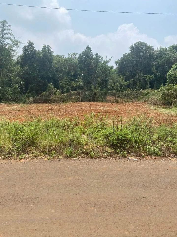 Đất nền TĐC Công An Sùng Đức 216m² giá 1.85 tỷ - Lô góc tiềm năng cao!