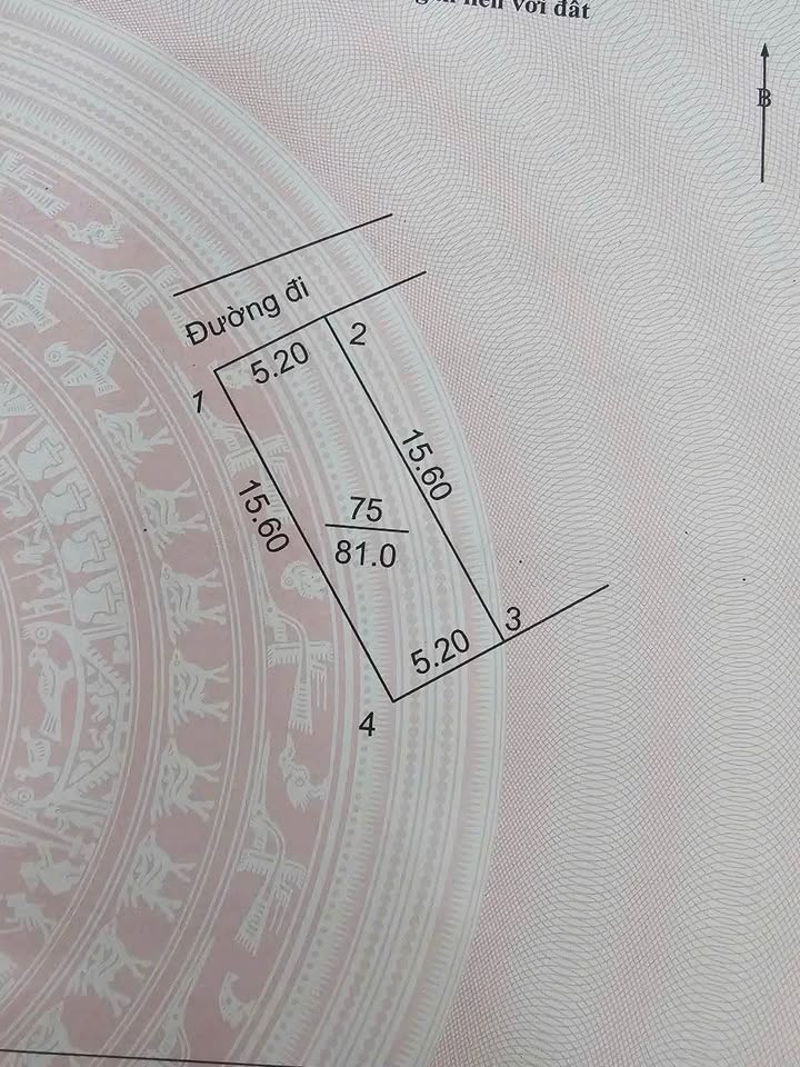 Đất thổ cư phố Lê Lợi Sơn Tây 81m² - Gần chợ và trường học, ô tô vào được!