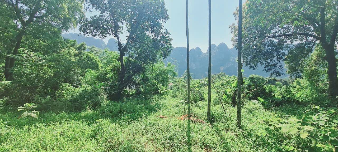 Đất Farm tại Liên Sơn, Huyện Lương Sơn, 4300m² - View bám suối tuyệt đẹp!