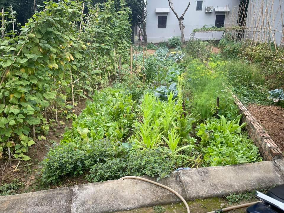 Đất 90m² tại Quang Tiến, Sóc Sơn chỉ 2.2 tỷ - Ô tô vào tận đất!