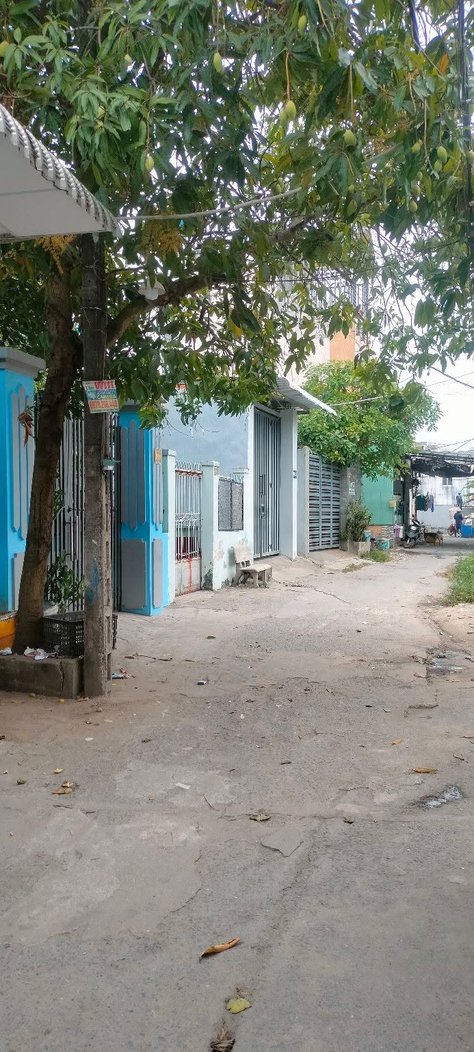 Nhà bán tại Xuân Thới Sơn, Hóc Môn 51m² chỉ 1.65 tỷ - Sổ hồng riêng, vào ở ngay!