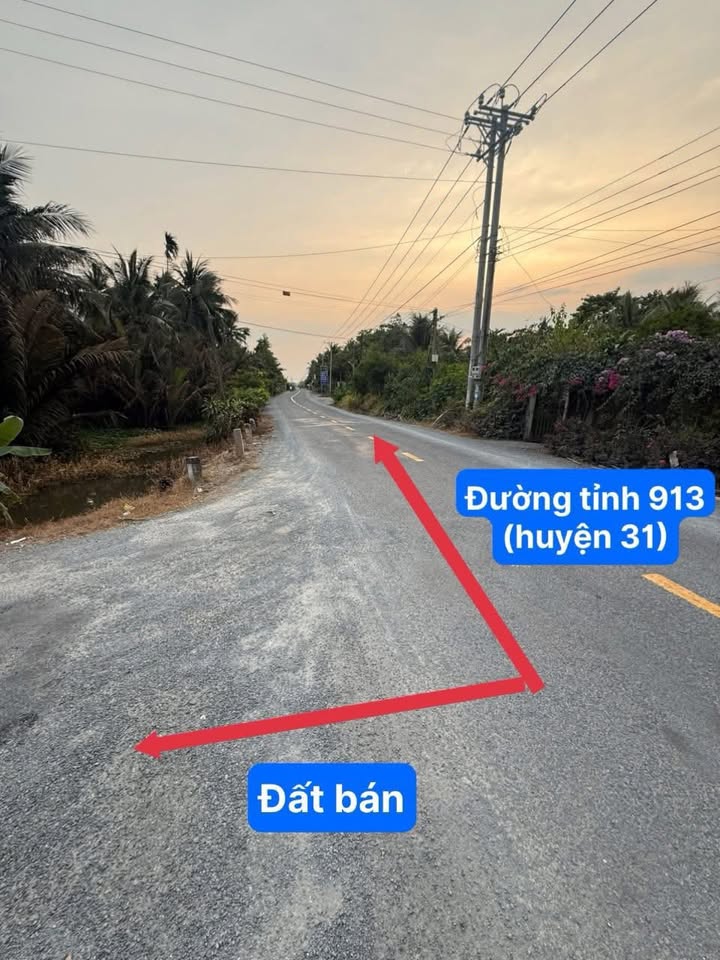 Đất mặt tiền 5 Tấn, xã An Trường, diện tích 288m², giá 370 triệu - Cơ hội đầu tư tuyệt vời!