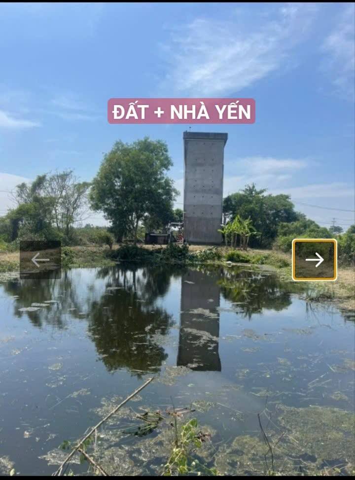 Đất + Nhà Yến Cần Giờ 1900m² giá 1x tỷ - Cần bán gấp!