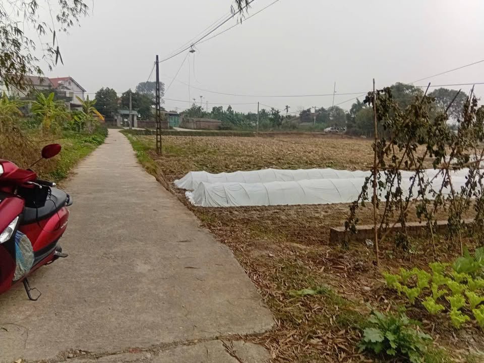 Đất Sóc Sơn 220m² - Mặt tiền 14m - Giá 2.2 Tỷ - Sẵn Kho Xưởng