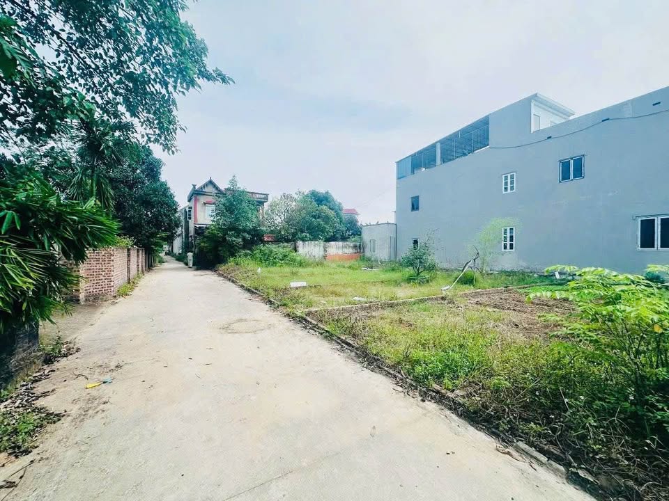 Đất thổ cư Kim Anh, Sóc Sơn 66m² giá chỉ 1 tỷ - Cơ hội đầu tư tuyệt vời!