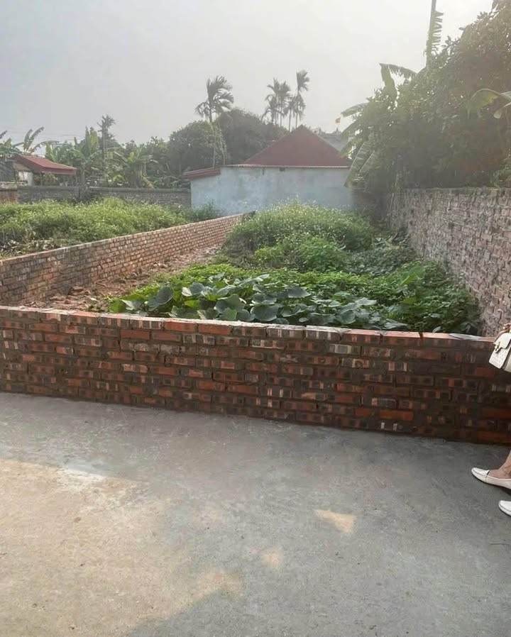 Đất nền xã Thái Nguyên, huyện Thái Thụy, 86m² giá chỉ 400 triệu - Sổ đỏ chính chủ!