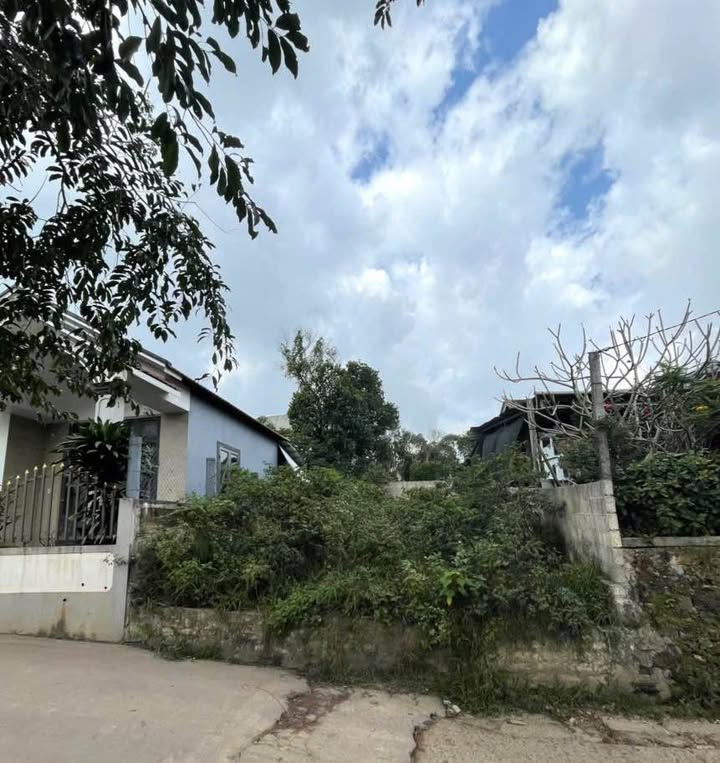 Đất Nền Đường Út Tịch Nối Dài, Phường Thanh Hải, Diện Tích 142m² - Vị Trí Đẹp, Giá Hợp Lý!