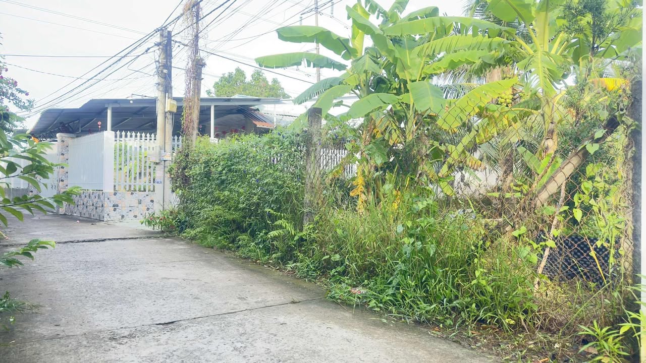 Đất thổ cư 250m² tại Ấp 3, Trung An, chỉ 850 triệu - Đầu tư sinh lời ngay!