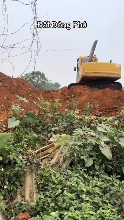 Đất thổ cư 114m² Ngõ 5 Tô Hiến Thành, Đồng Tâm 2.7 tỷ - Cơ hội đầu tư tuyệt vời!