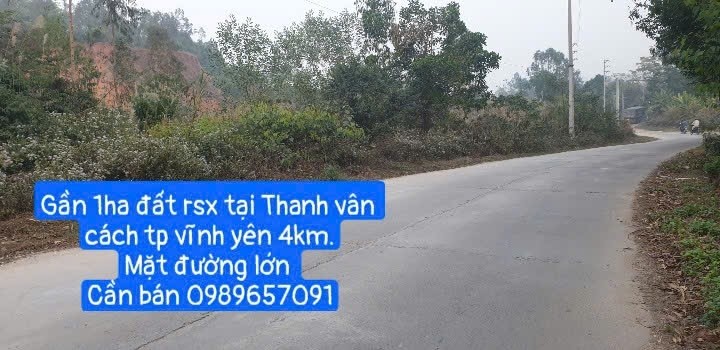 Đất nền Farm 3000m² xã Thanh Vân, huyện Tam Dương, giá 1 tỷ - Cơ hội đầu tư hấp dẫn!
