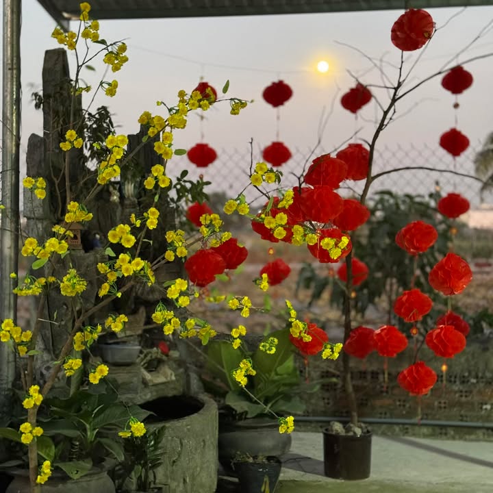 Đất nền Tân Uyên Bình Dương 484m² giá chỉ 9 tỷ - Sổ hồng chính chủ!