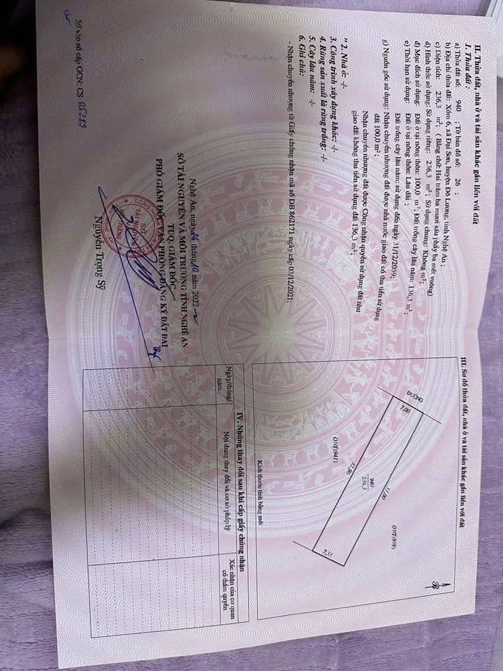 Đất nền Xóm 6, Xã Đại Sơn, Huyện Đô Lương 236m² giá 800 triệu - Sổ đỏ chính chủ!