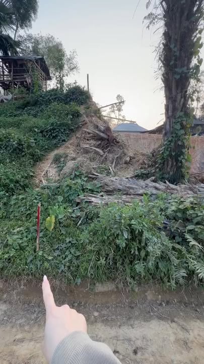 Đất thổ cư 800m² tại Lạc Lương giá chỉ 600 triệu - Thế đất cao ráo, phù hợp đầu tư!