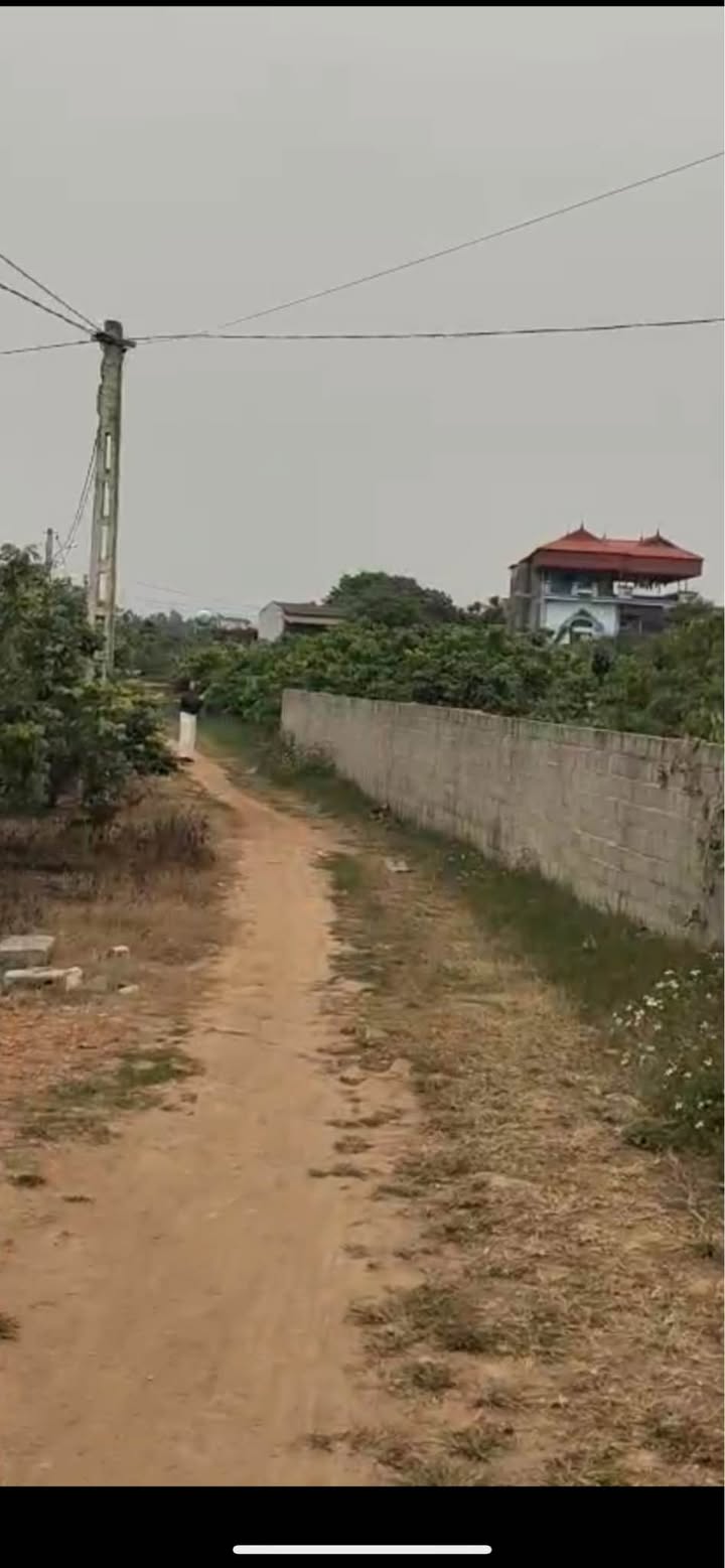 Bán Đất Vườn Quốc Oai 1600m² Sổ Đỏ Rõ Ràng, Giá 1 Tỷ