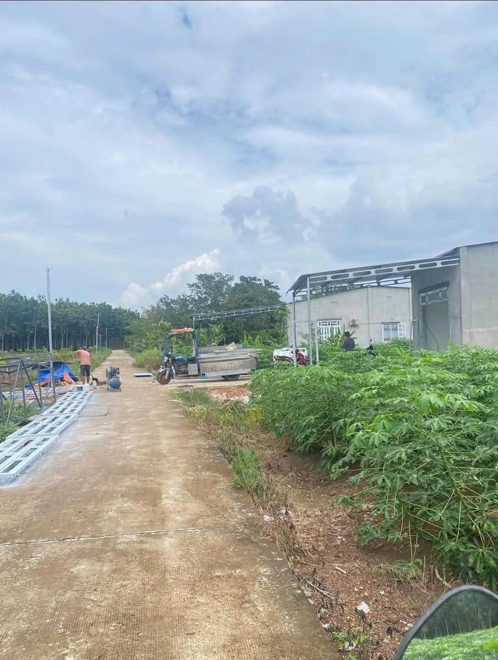 Đất nền 180m² Tân Thành 3, Đồng Xoài chỉ 395 triệu - Cơ hội đầu tư tuyệt vời!