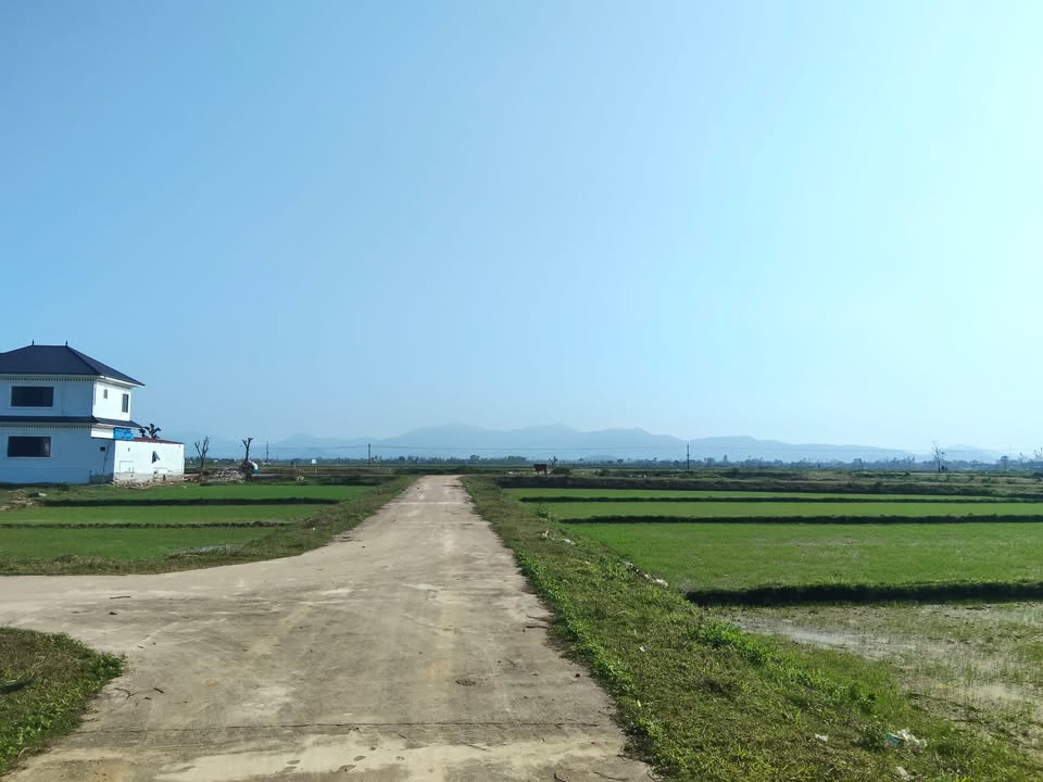 Đất thổ cư Cẩm Hà 200m² giá 1 tỷ - Cơ hội đầu tư hấp dẫn!