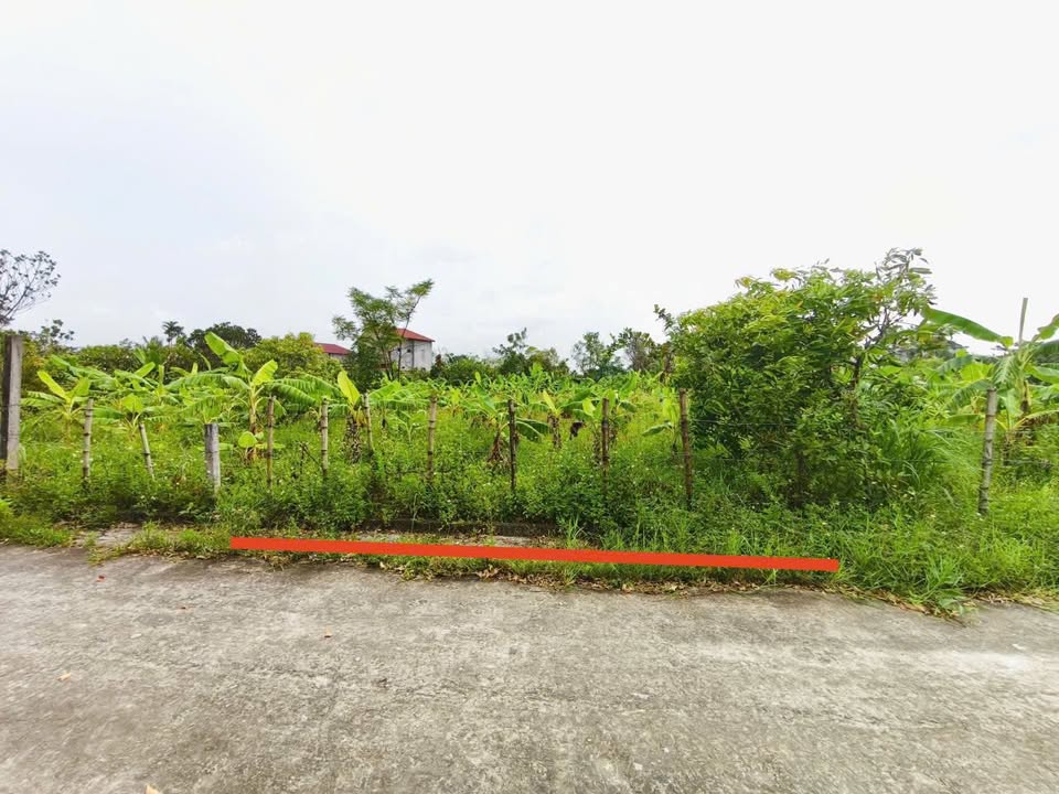 Đất Thạch Bình, Hà Tĩnh - 202m² Sổ Đỏ, Giá 1.5 Tỷ - Cơ Hội Đầu Tư Sinh Lời