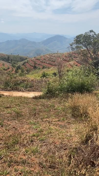 Đất nông nghiệp 2,5ha tại Đắk Hà, giá chỉ 200 triệu - Cơ hội đầu tư hấp dẫn!