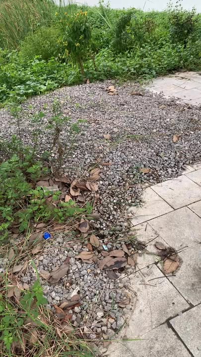 Đất nền mặt đường 477B, Thị trấn Thịnh Vượng, 100m² - Gần khu hành chính mới!