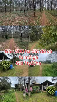 Farm đất đỏ mặt tiền Quốc Lộ 2, 3ha cà phê, 17ha cao su - Cơ hội đầu tư sinh lời!