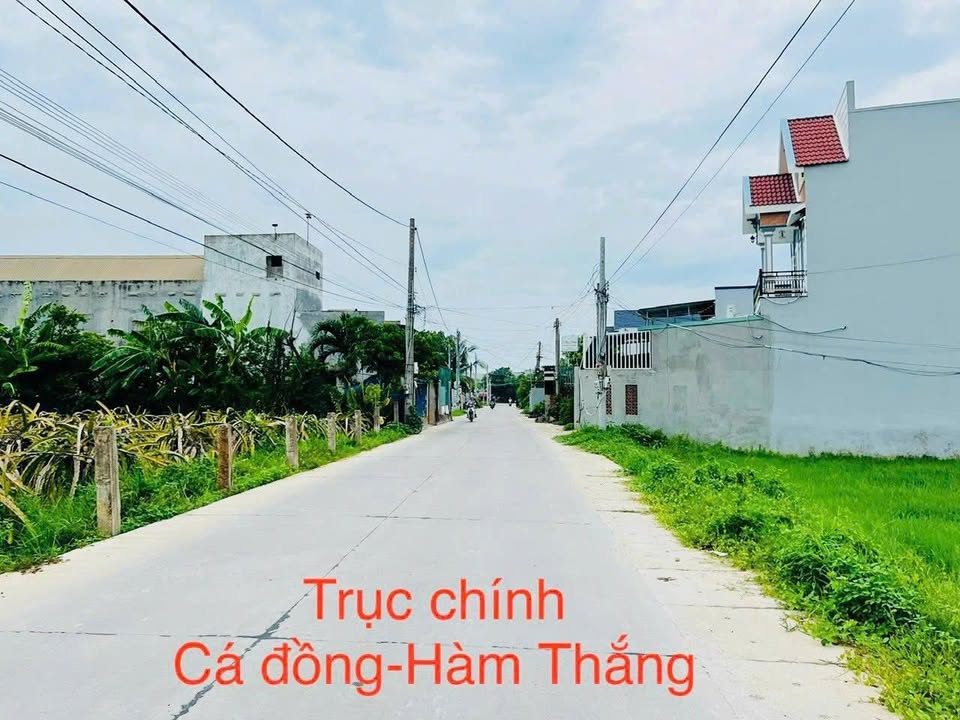 Đất nền 360m² khu Cá Đồng, Phường Hàm Thắng - Chính chủ, giá 1.5 tỷ!