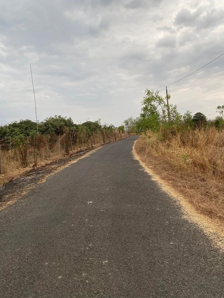 Đất Lộc Thịnh 14400m² giá 530 triệu - Sổ đỏ chính chủ