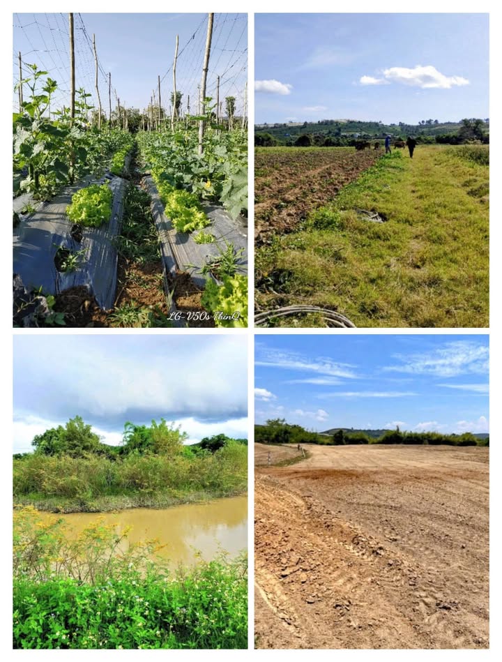 Farm 3.6ha tại xã Tà Hine, huyện Đức Trọng, Lâm Đồng - Pháp lý rõ ràng, giá chỉ 9 tỷ