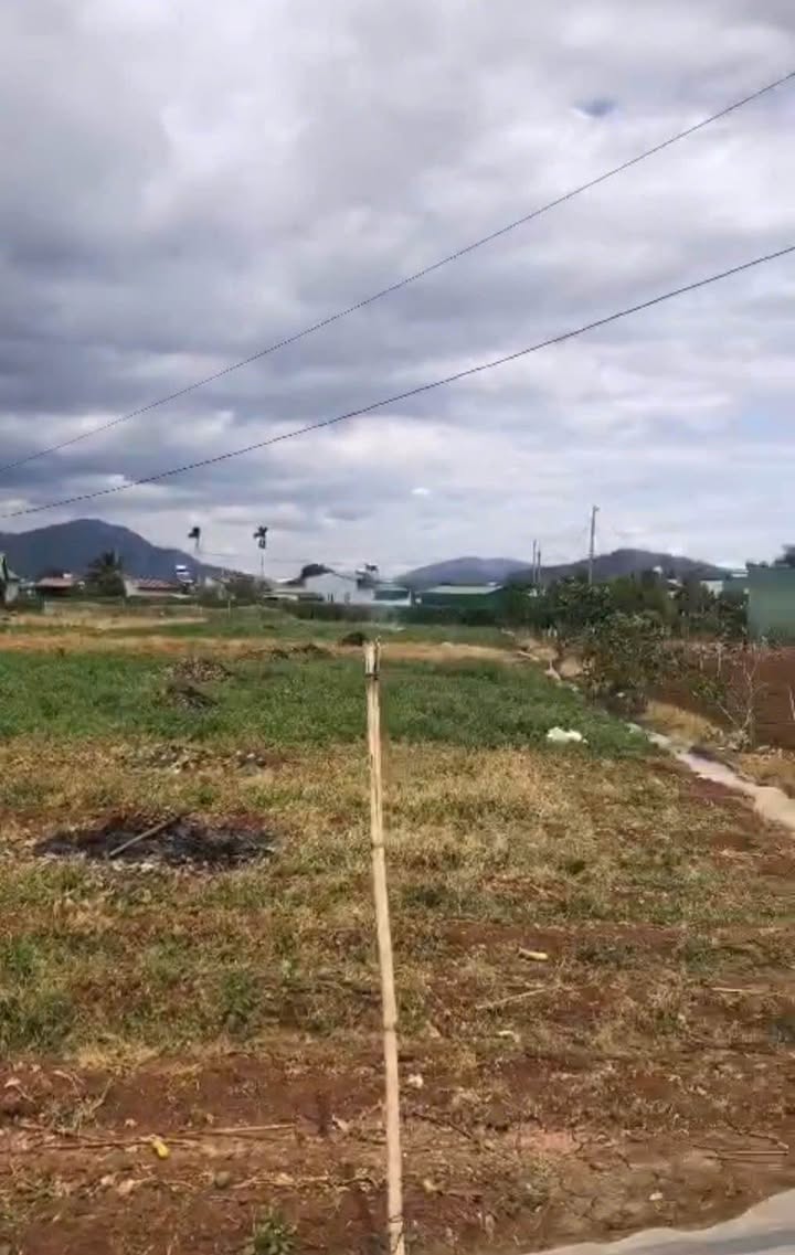 Đất nông nghiệp có quy hoạch thổ cư tại xã Tân Thành, Đức Trọng - 4.000m² giá 10 tỷ