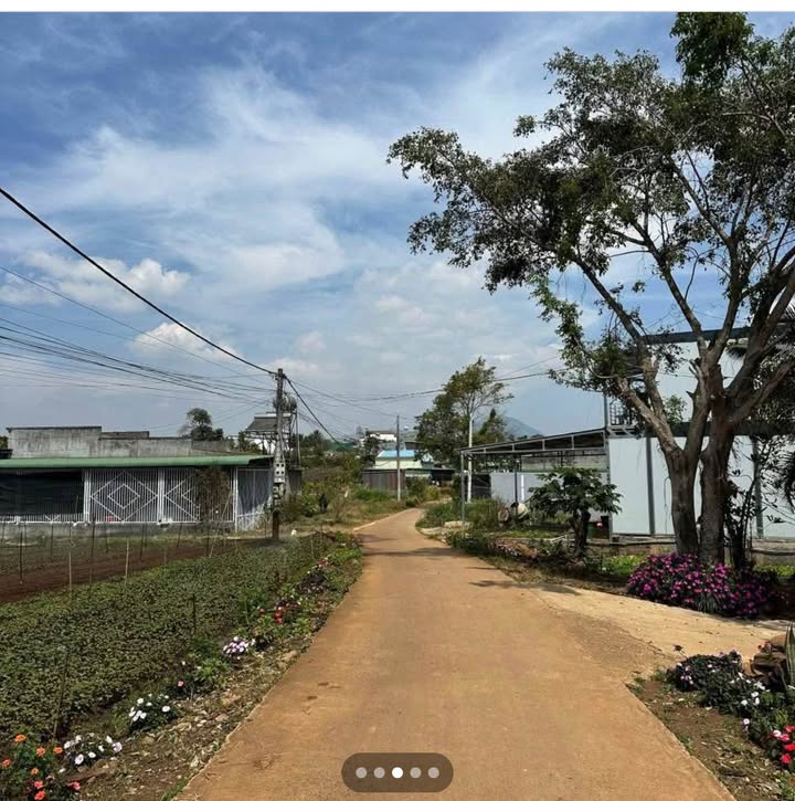 Đất Nghĩa Hiệp Đức Trọng 72m² - Sổ Thổ Cư, Giá 1.45 Tỷ - Gần Sân Bay Liên Khương