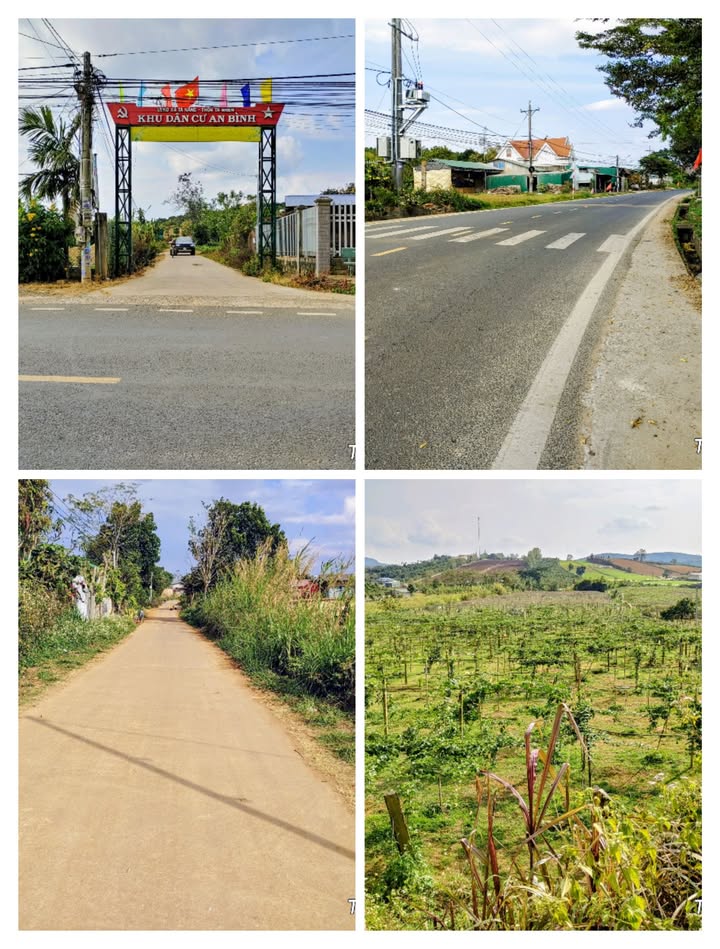 Đất nền đẹp tại xã Tà Năng, huyện Đức Trọng, diện tích 5.300m², giá chỉ 1.855 tỷ!