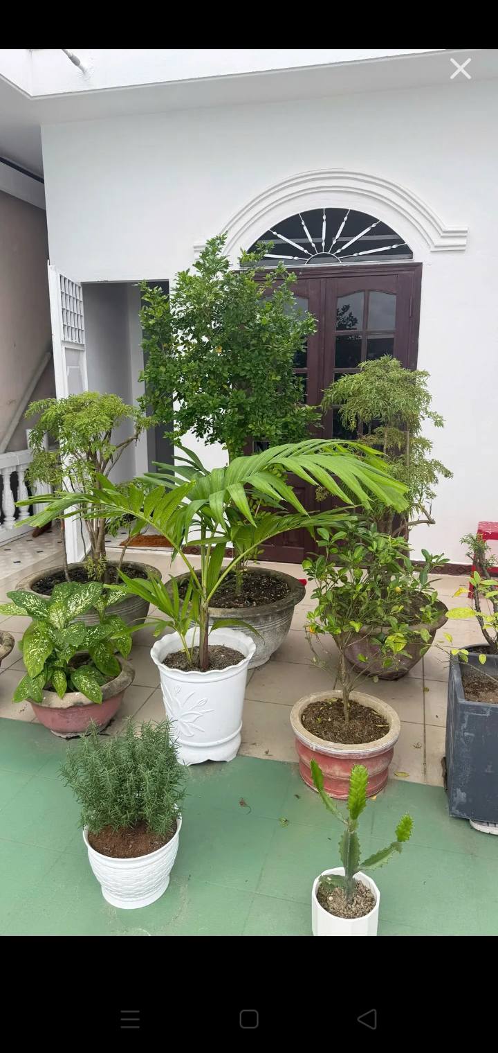 Nhà đẹp 3 tầng Trương Chí Cương 72.4m² giá 7.45 tỷ - Ô tô đỗ cửa