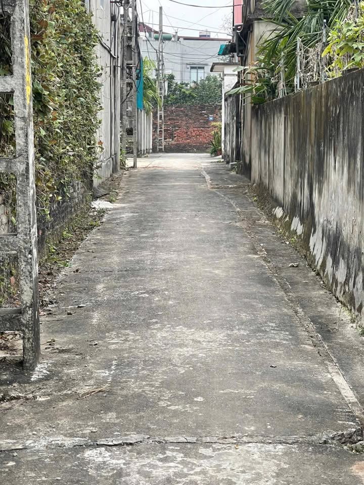 Đất nền Phượng Dực, Phú Xuyên 51.8m² giá 2.42 tỷ - Chính chủ cần bán gấp!