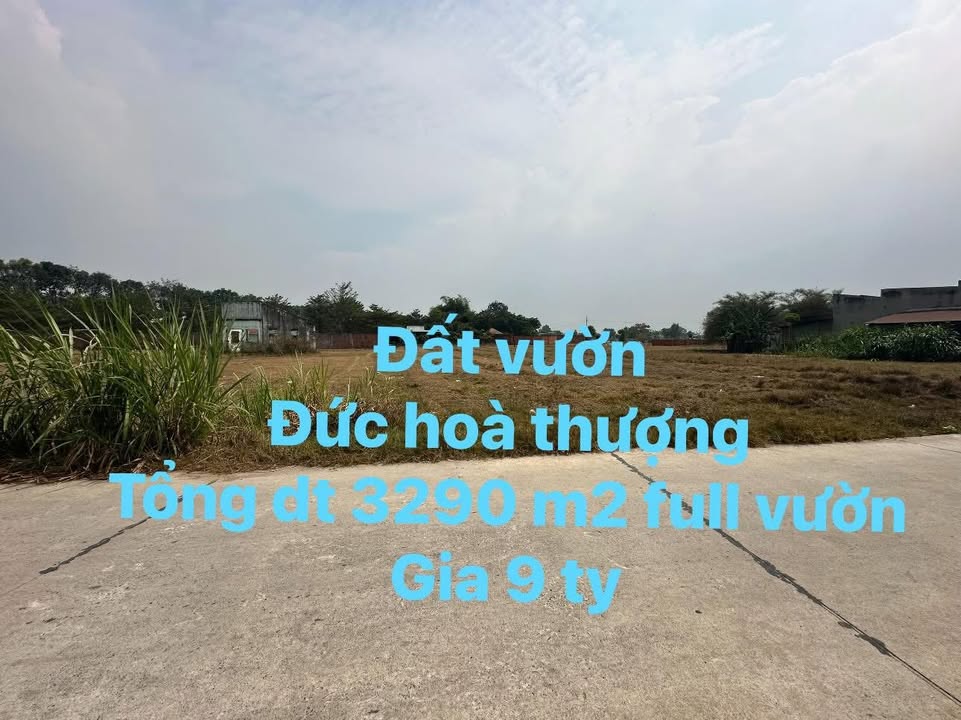 Đất vườn Bê Tông Thịnh Vượng, 3290m² giá 9 tỷ - Đầu tư lý tưởng!