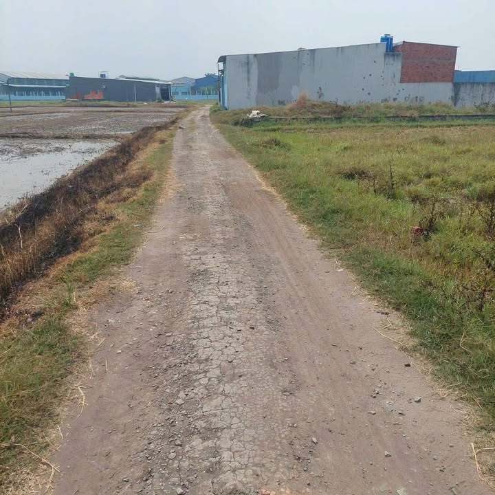 Đất nền 125m² tại Đức Hòa Đông - Giá chỉ 1.1 tỷ - Sổ hồng chính chủ!