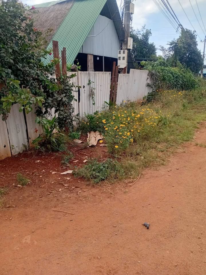 Đất mặt tiền Tỉnh Lộ 15, Ea Sol, 900m² giá 2.07 tỷ - Đầu tư sinh lời ngay!