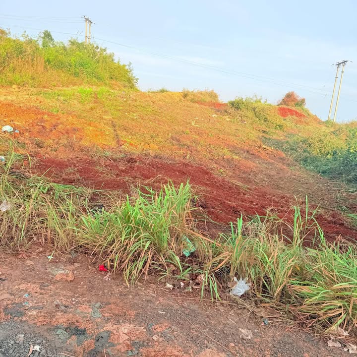 Đất nền xã Ea Hiao, huyện Ea H'leo 10.000m² giá 1 tỷ - Cơ hội đầu tư hấp dẫn!